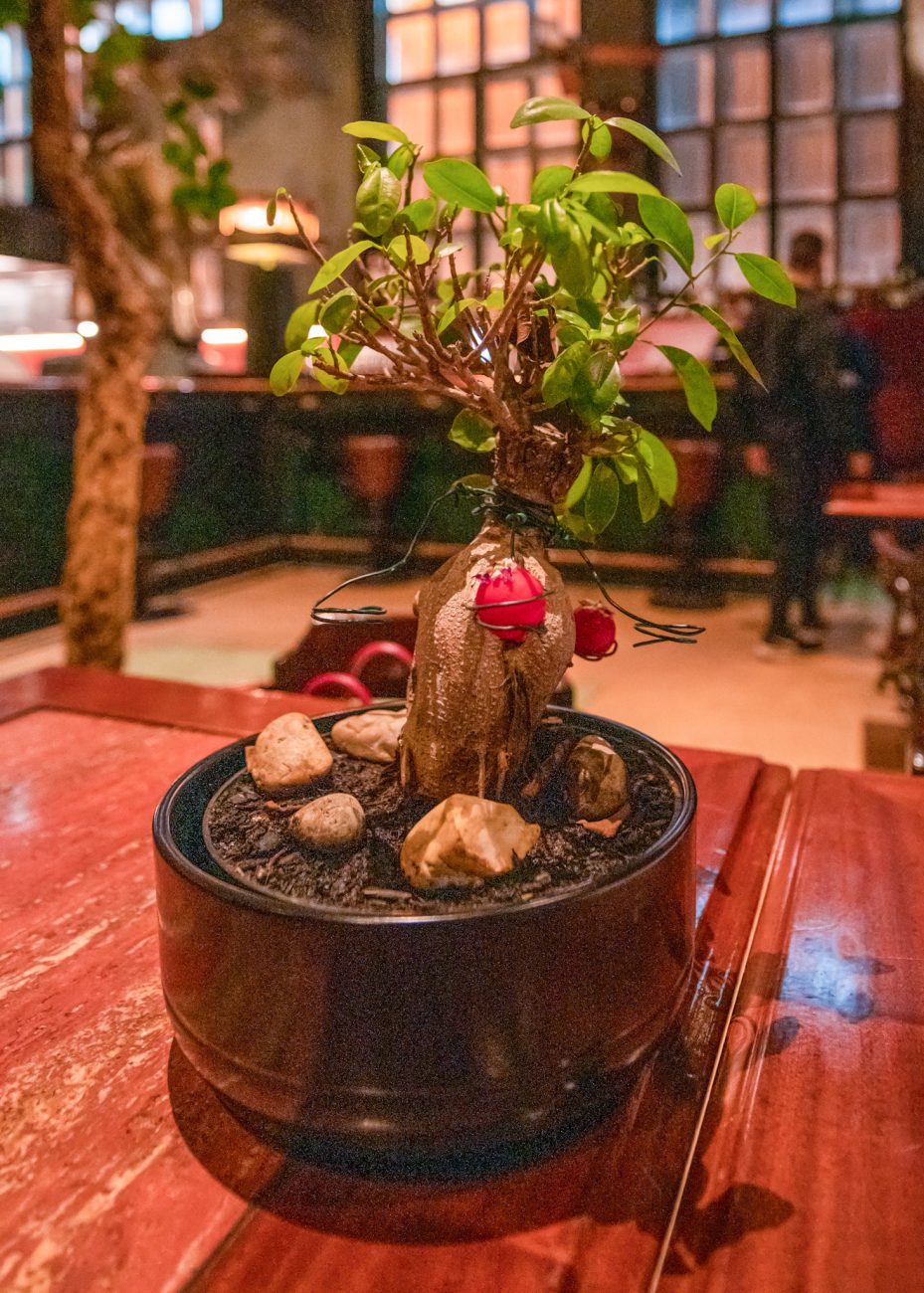 Best Fine Dining and Michelin-Starred Restaurants