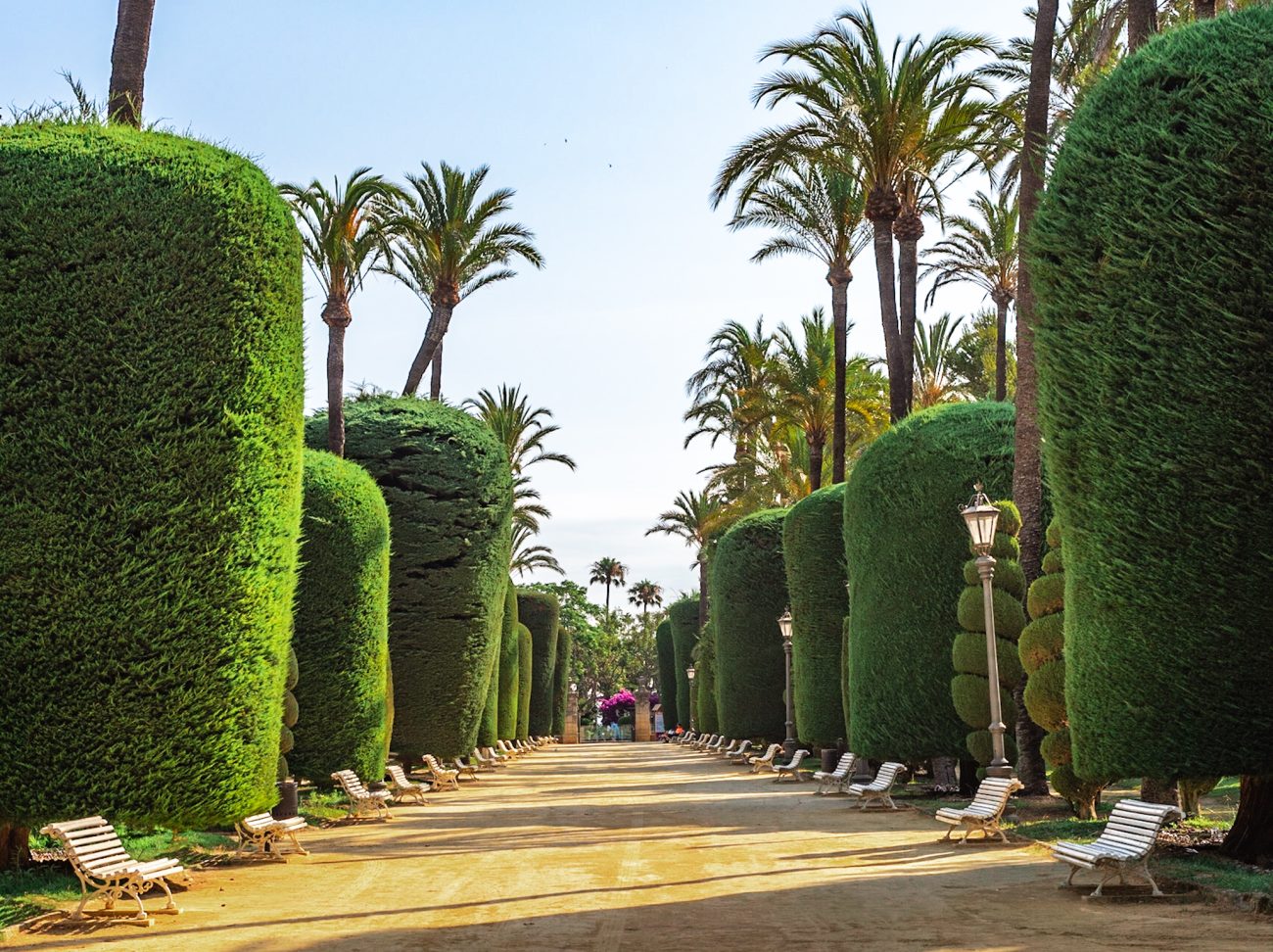 Parque Genoves in Cadiz