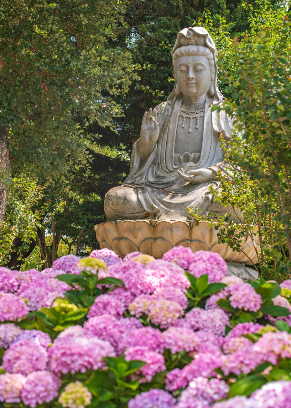 Buddha Eden garden is one of the most unusual places to visit in Portugal
