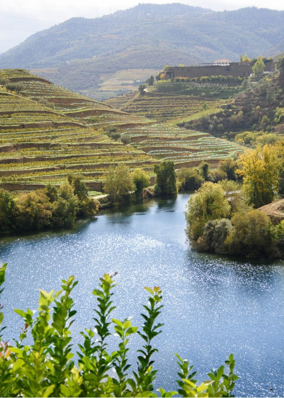Douro Valley is one of the most beautiful places in Northern Portugal