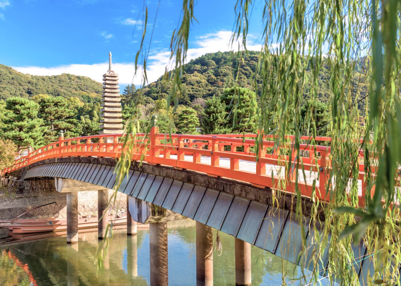 Discover the Secret Matcha Capital of Japan You’ve Never Heard Of