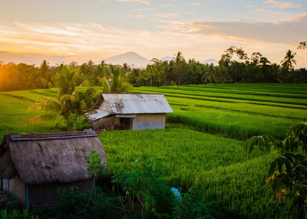 This Tropical Place Is Ruled by Rice Fields, Temples, and Daily Offerings