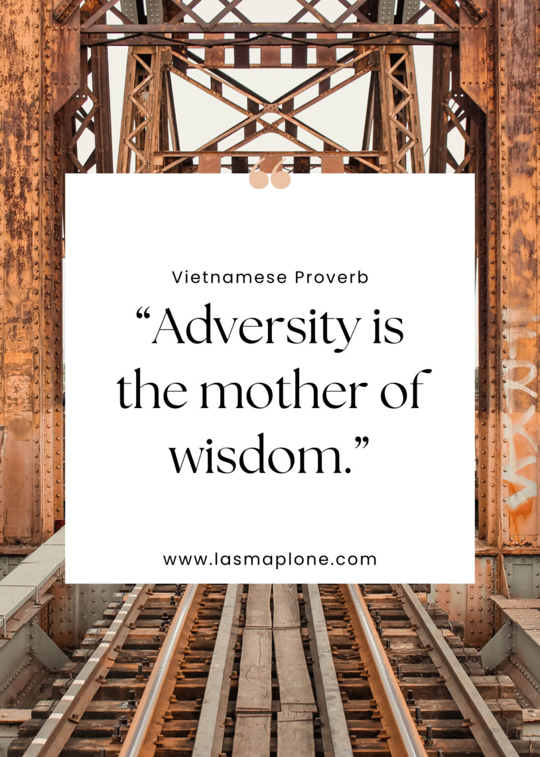 120+ Best Vietnam Quotes and Vietnam Instagram Captions