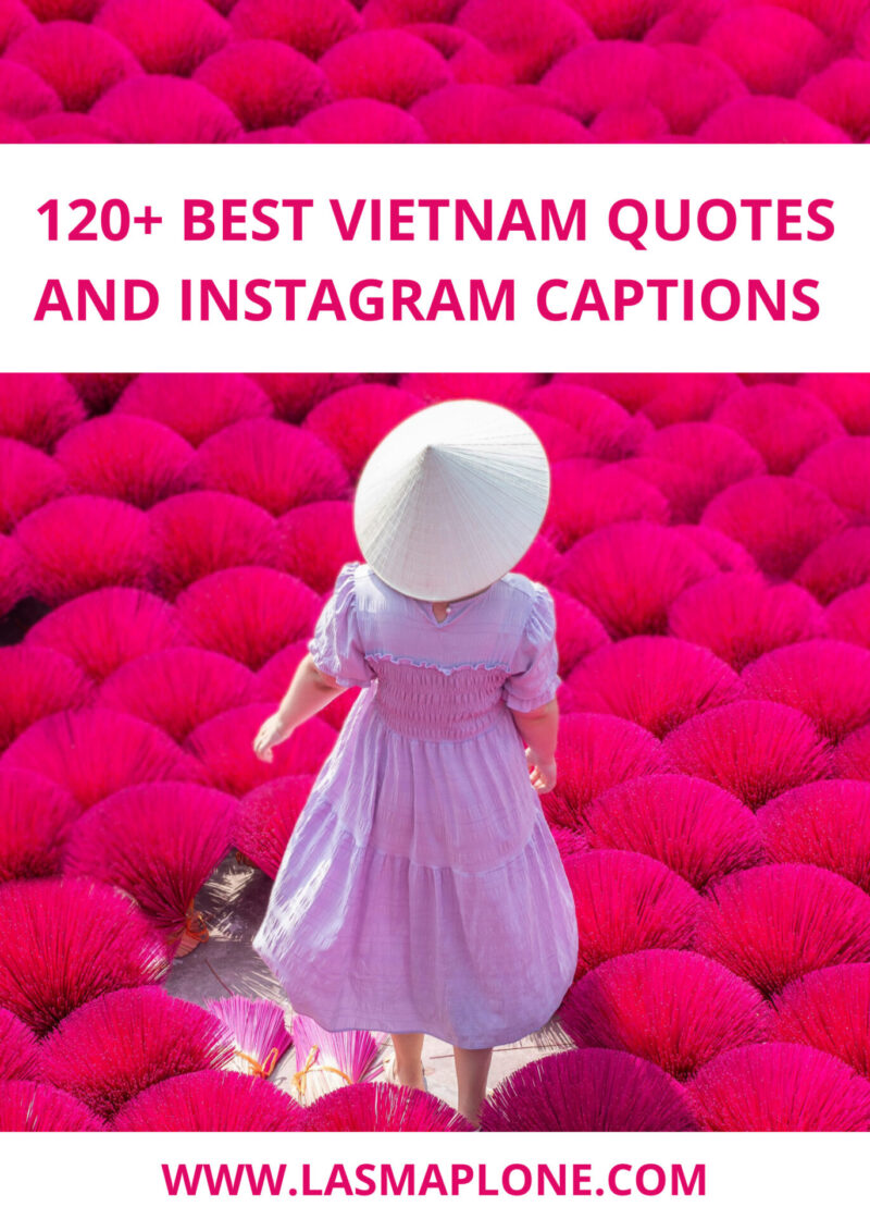 120+ Best Vietnam Quotes and Vietnam Instagram Captions