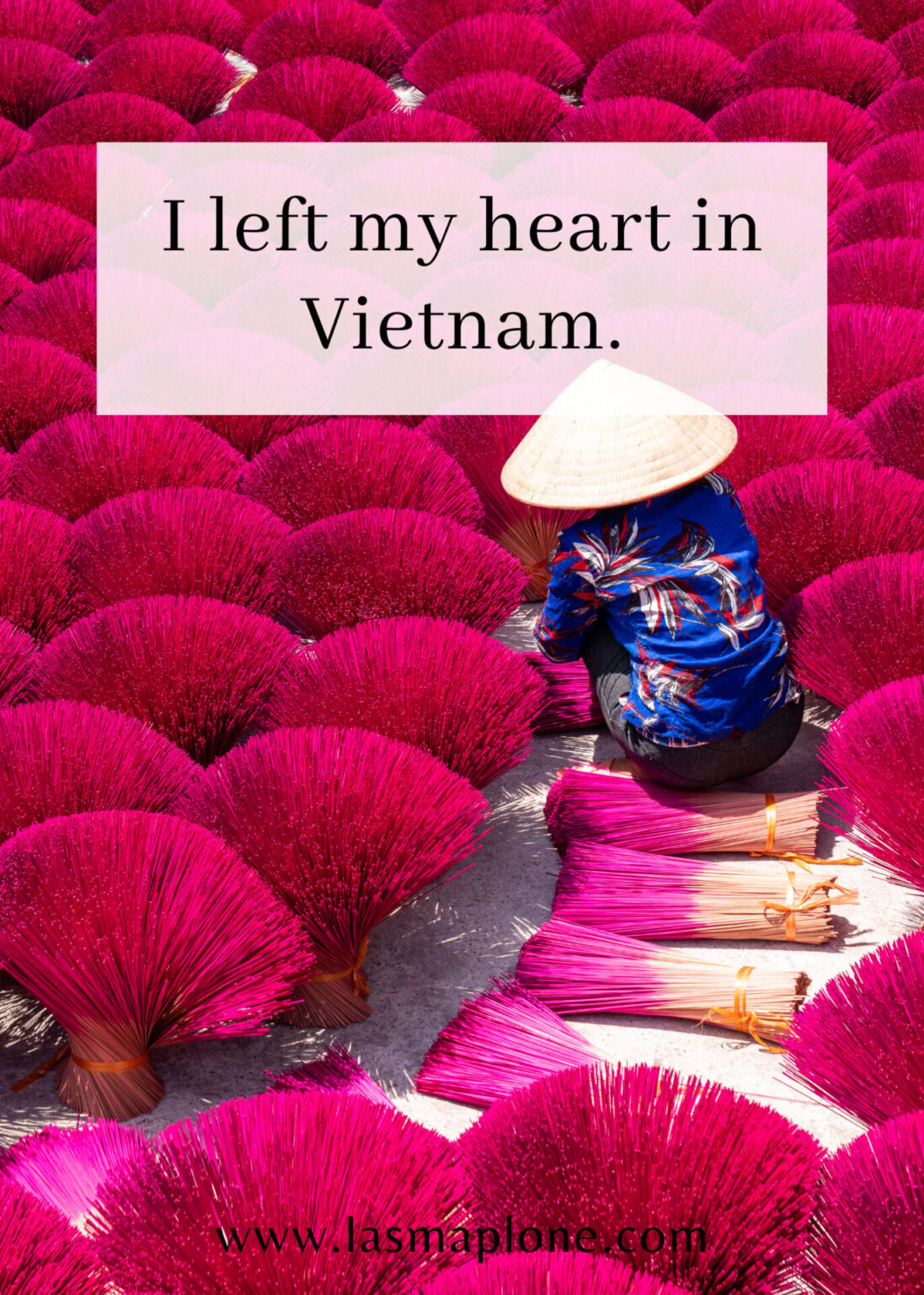 120+ Best Vietnam Quotes and Vietnam Instagram Captions