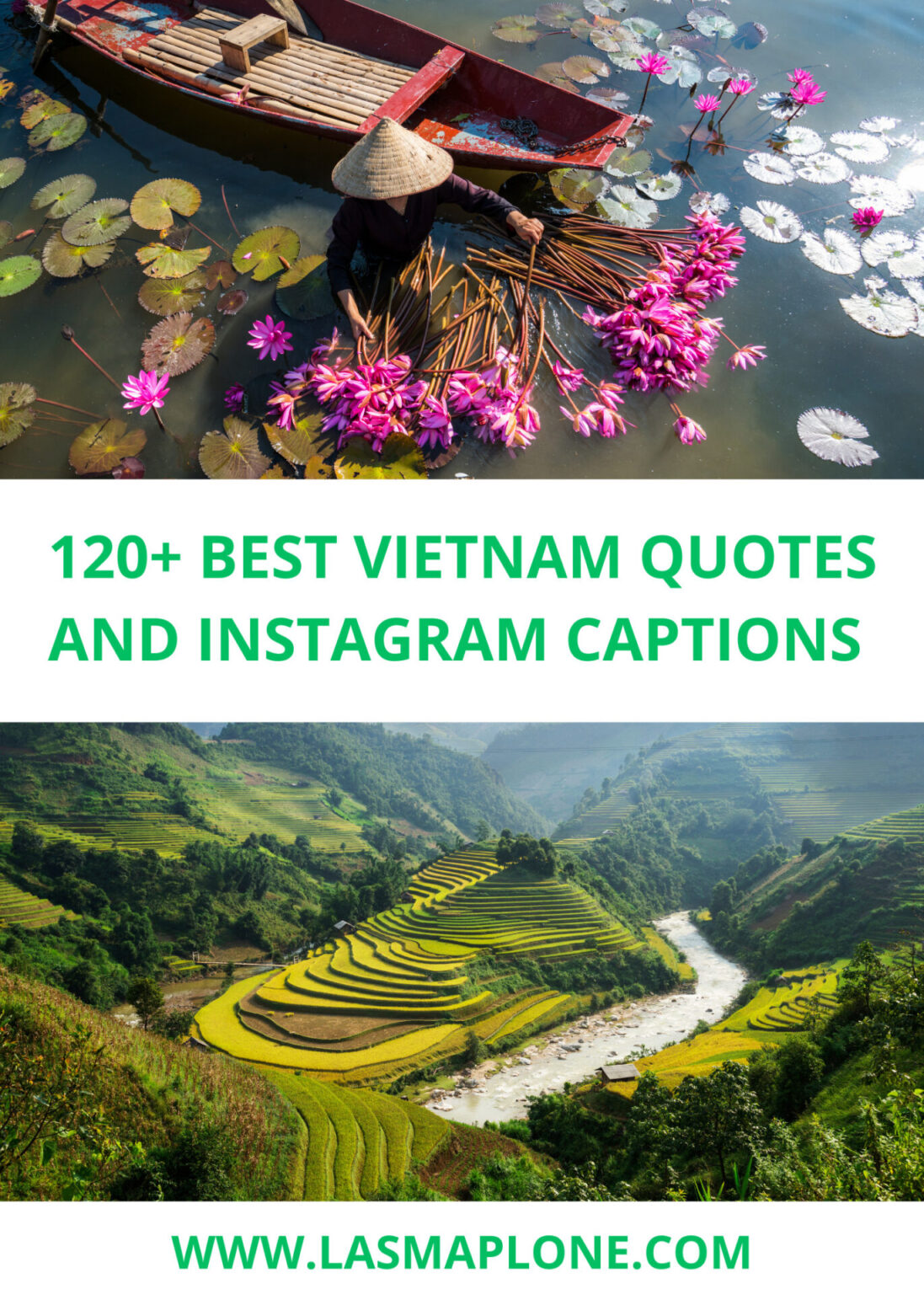 120+ Best Vietnam Quotes and Vietnam Instagram Captions
