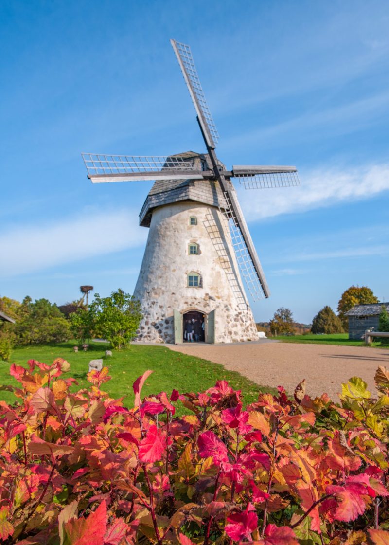 10 Best Day Trips from Riga, Latvia (Top Guided Tours Included!)