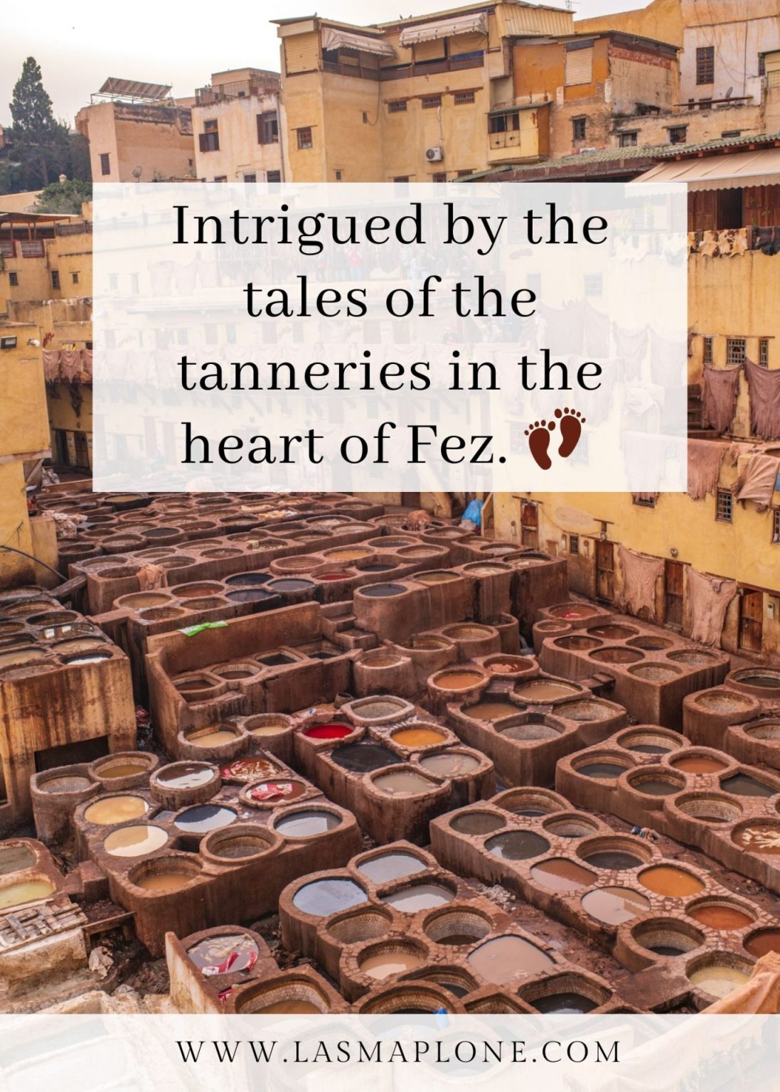 140+ Best Morocco Quotes and Morocco Instagram Captions