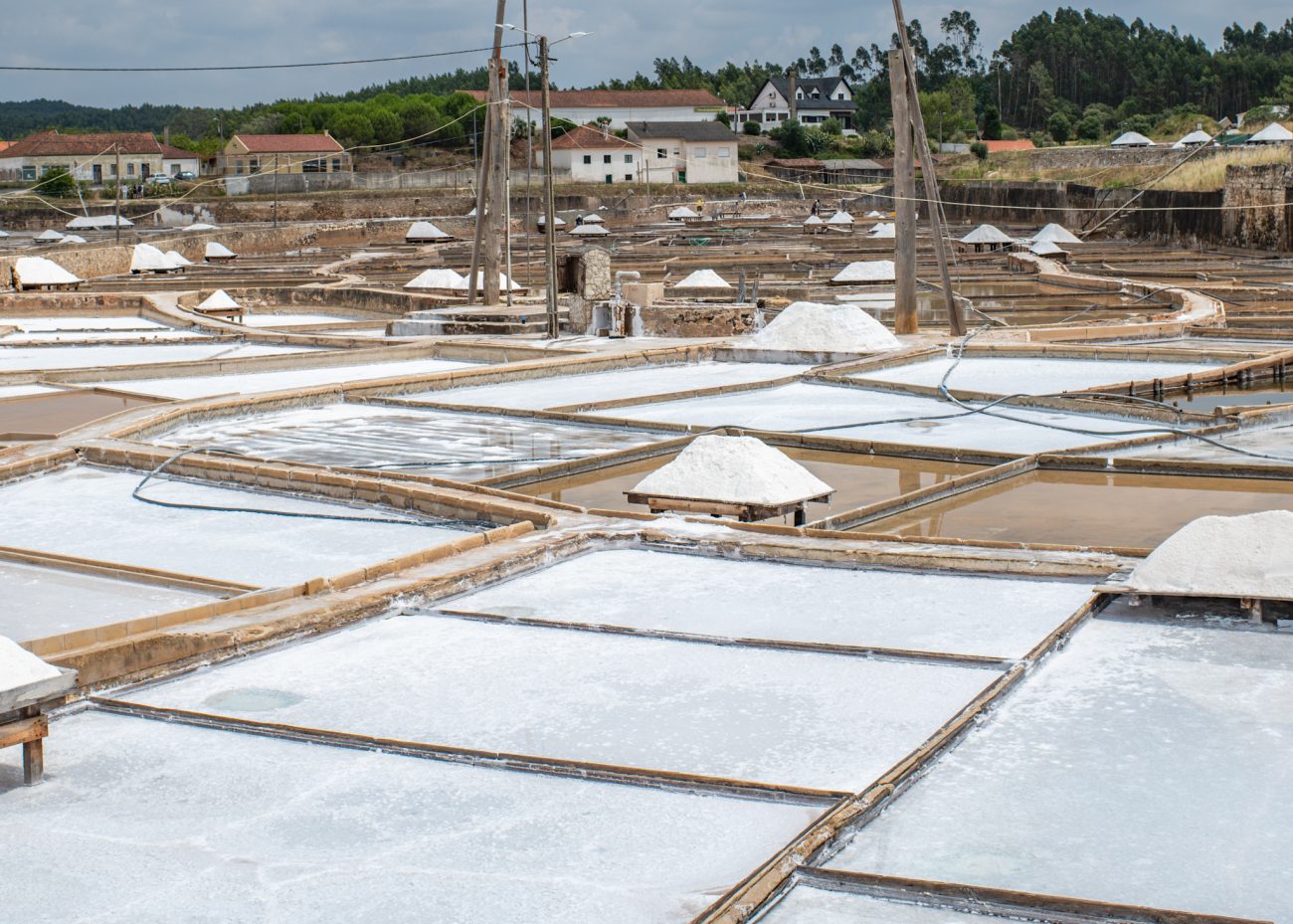 Salinas de Rio Maior Portugal