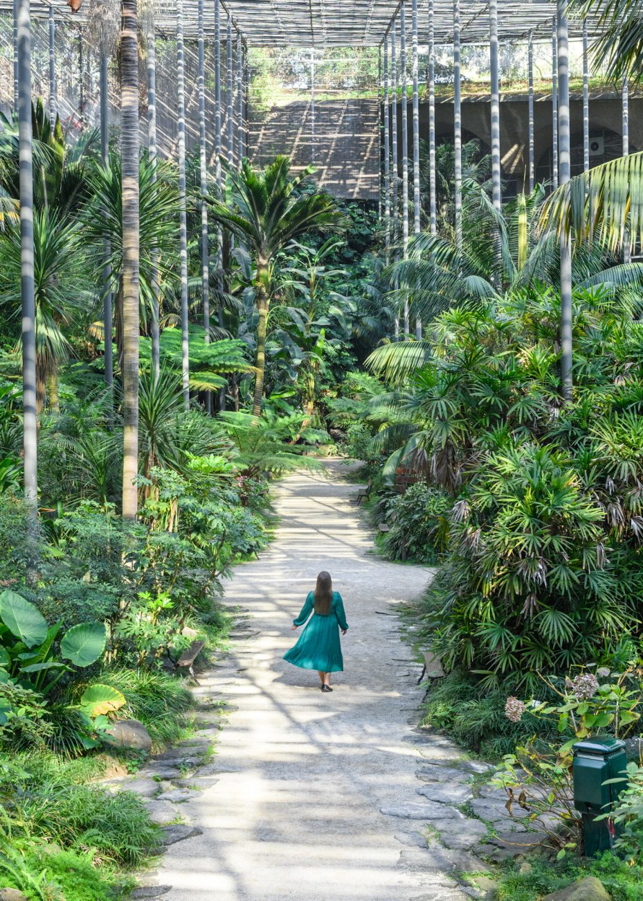 Estufa Fria is one of the most underrated photo spots in Lisbon