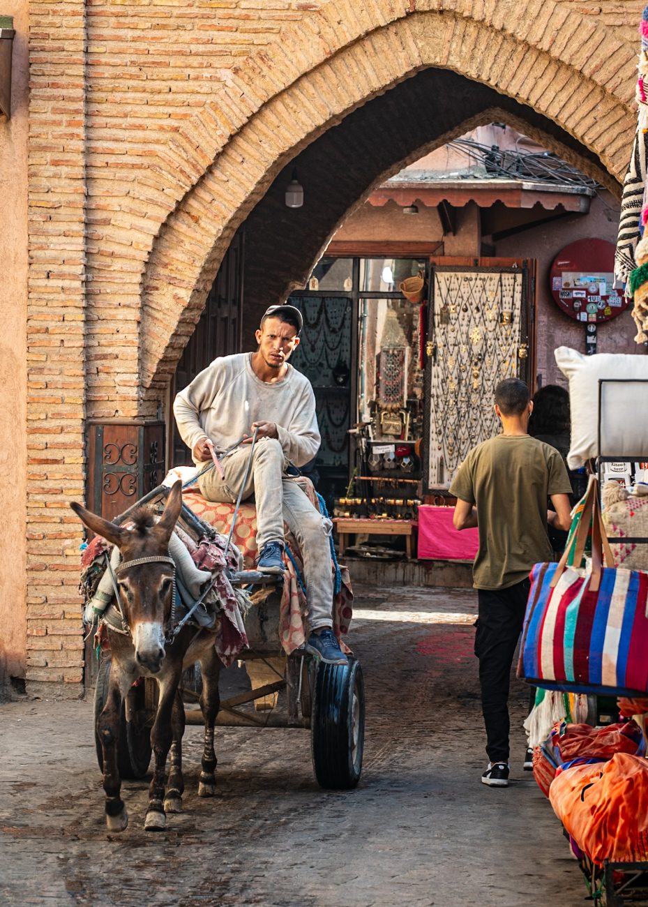 A donkey carrying goods through a narrow alley in the Medina of Marrakesh, Morocco