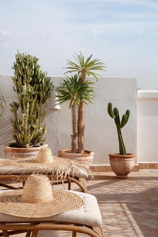 where to stay in Marrakech with a pool