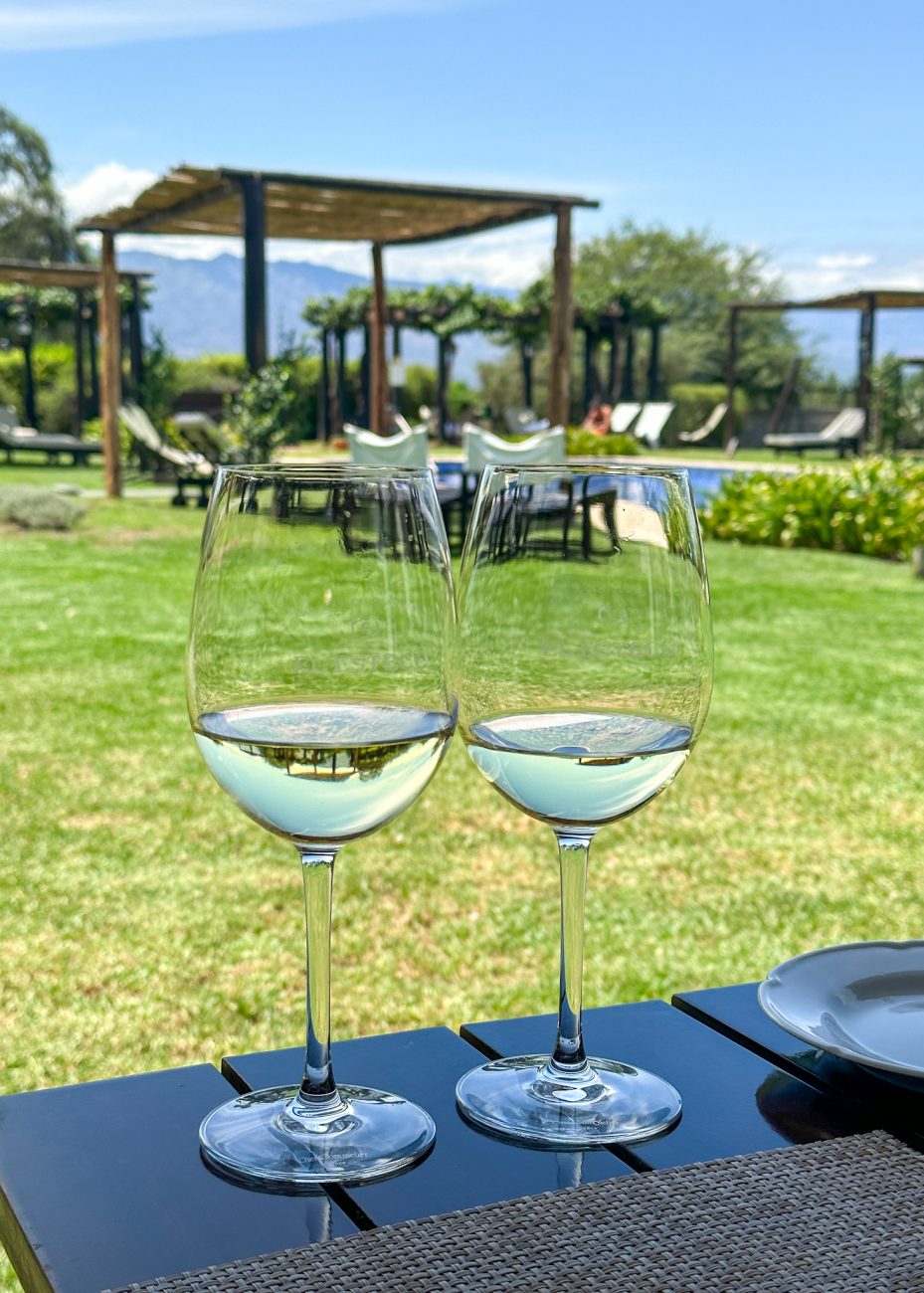 Wine tasting at Bodega El Esteco, one of the most famous wineries in Cafayate, Argentina