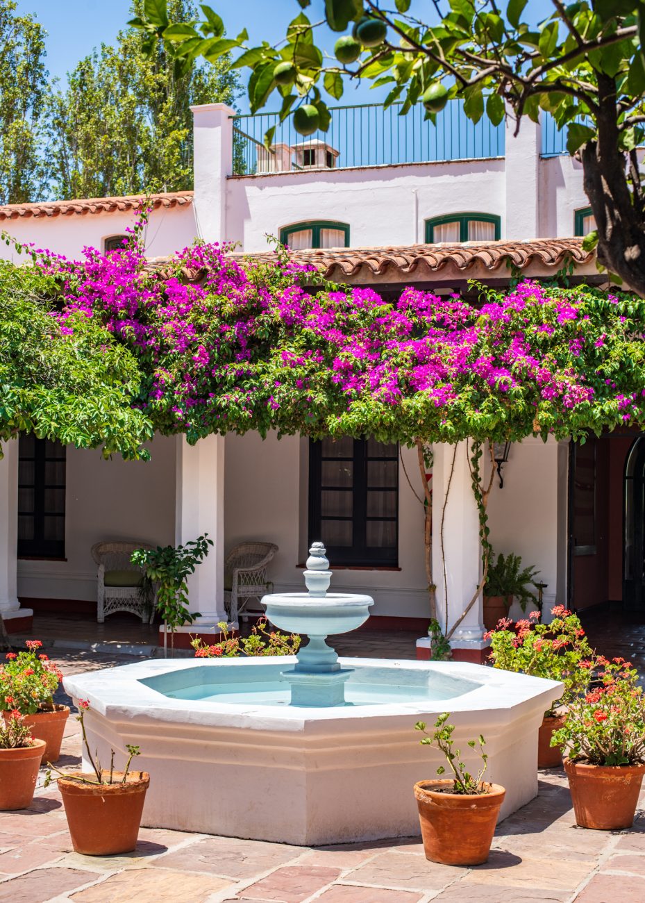 Colonial-style Patios de Cafayate Wine Hotel with vineyard