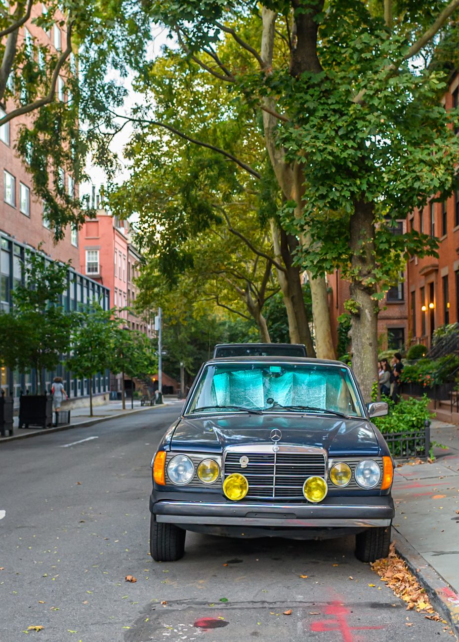 12 Top Neighborhoods to Explore in New York
