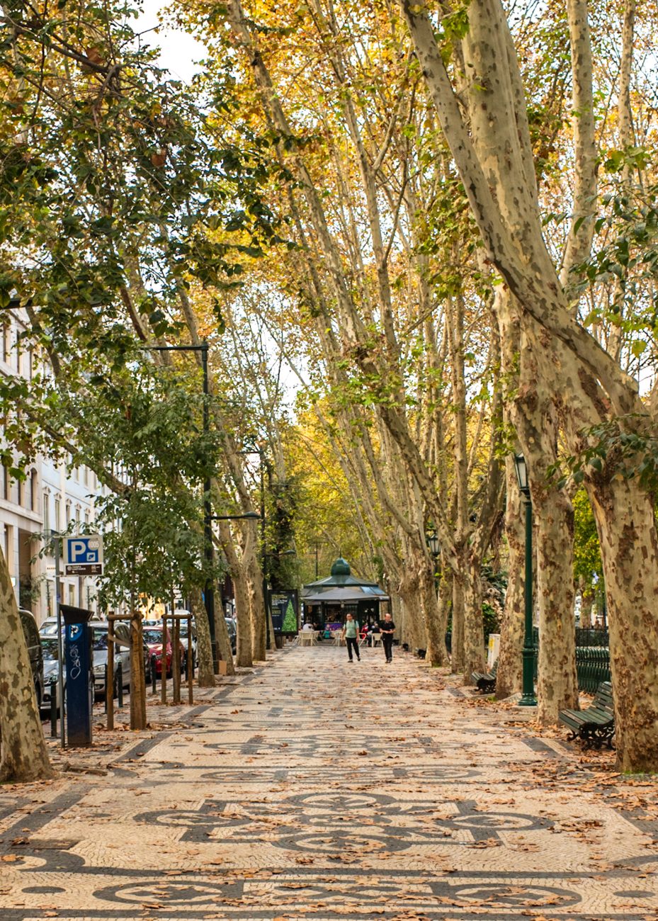 Av. da Liberdade - 3 days in Lisbon Avenida da Liberdade is a must visit during 3 days in Lisbon