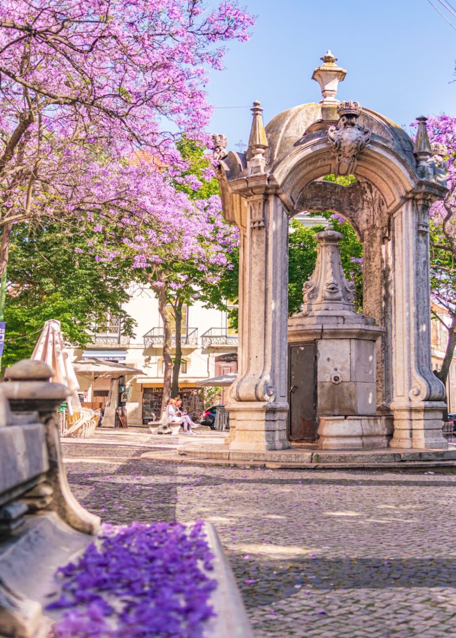 Chiado is one of the best areas to stay in Lisbon for the first time visitors