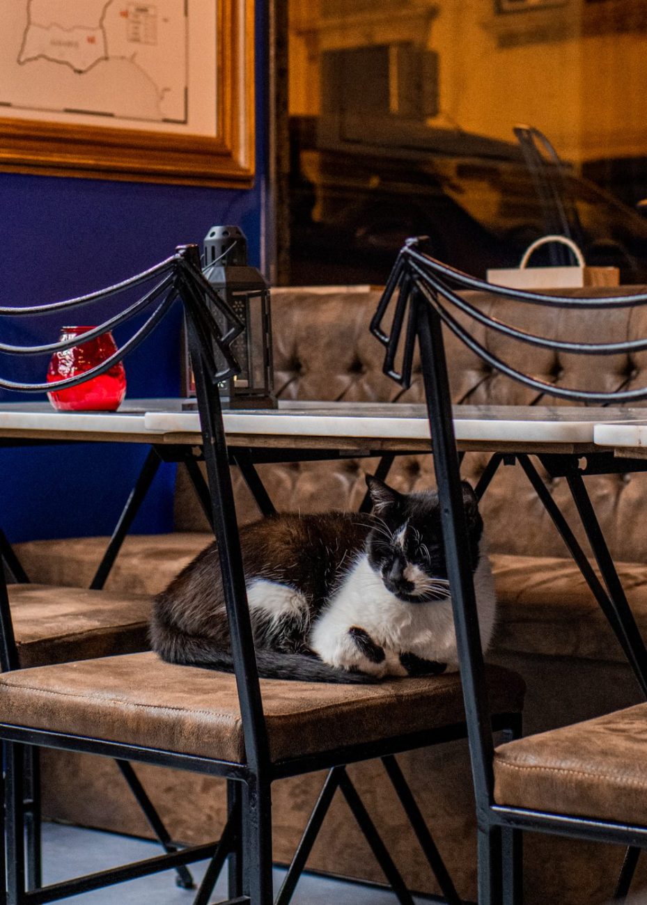 petiscos restaurants in Lisbon