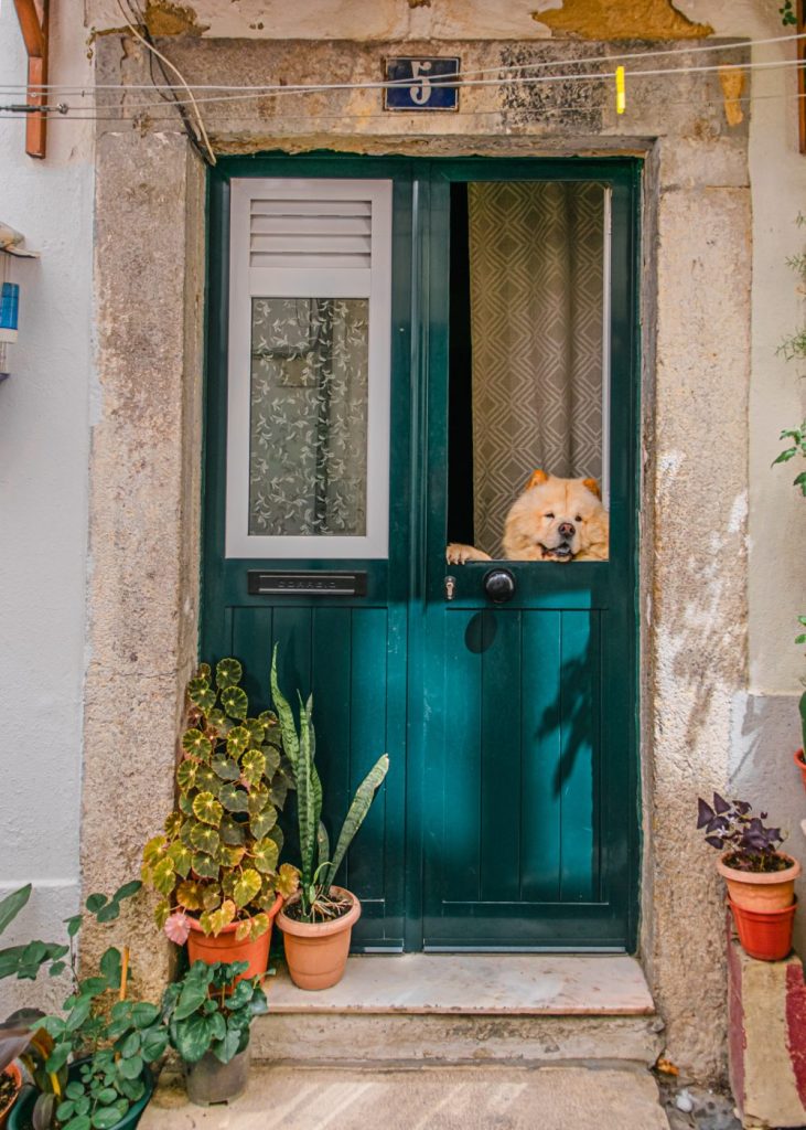 15 best things to do in Alfama, Lisbon