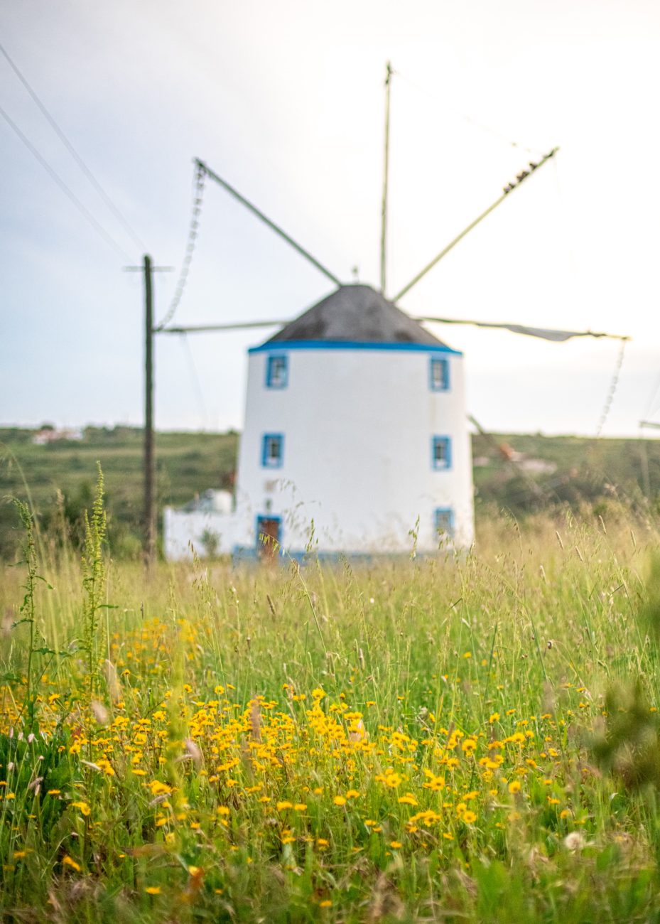 Top things to do in Azhenhas do Mar