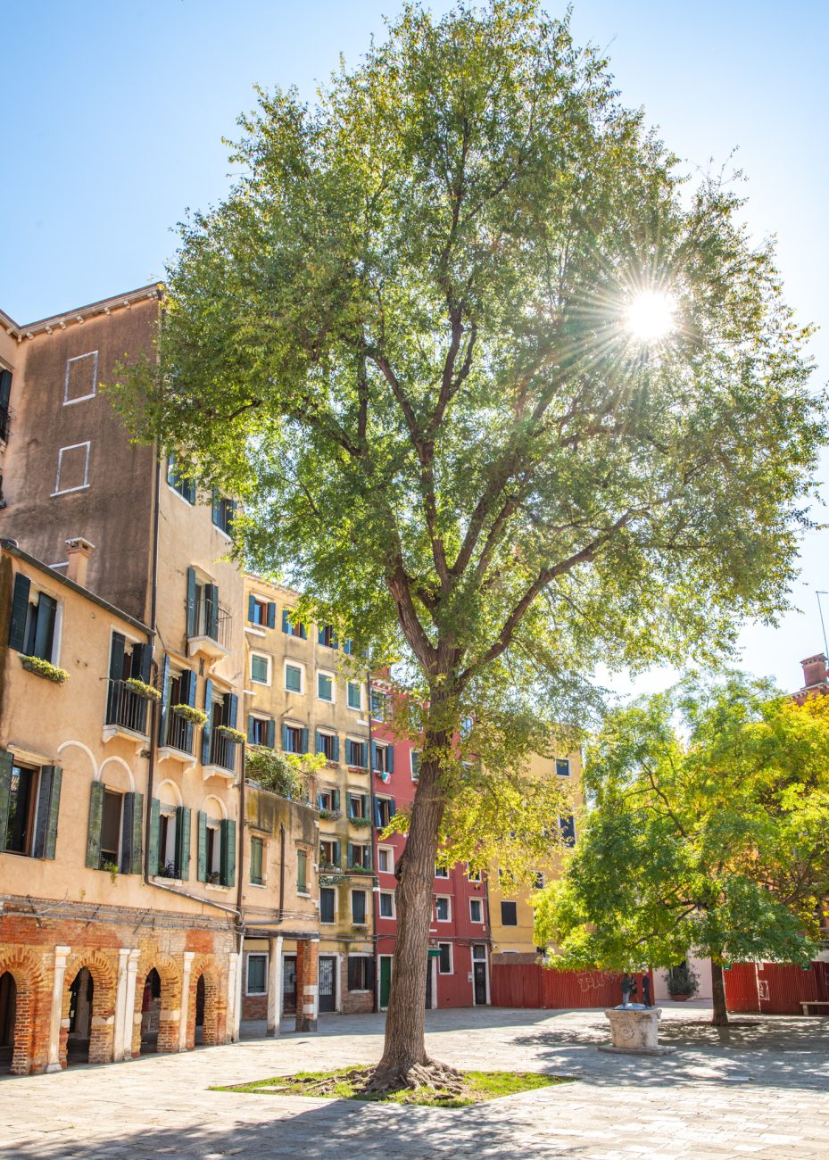 Cannaregio in Venice