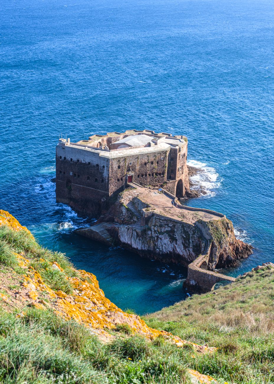 How to visit Berlengas islands from Peniche