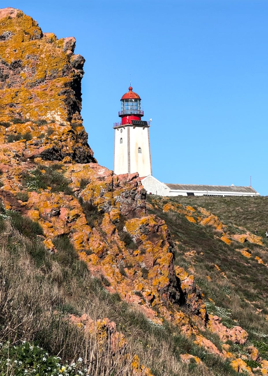 Hiking trail along cliffs on the Berlengas Islands