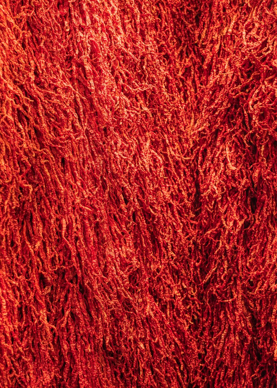 Culinary Museum Chengdu