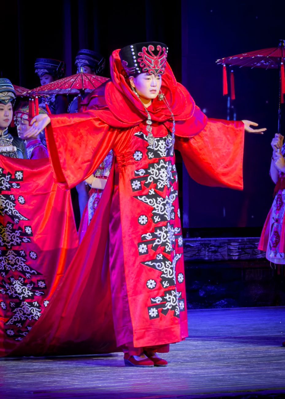 Sichuan show dinner performance stage