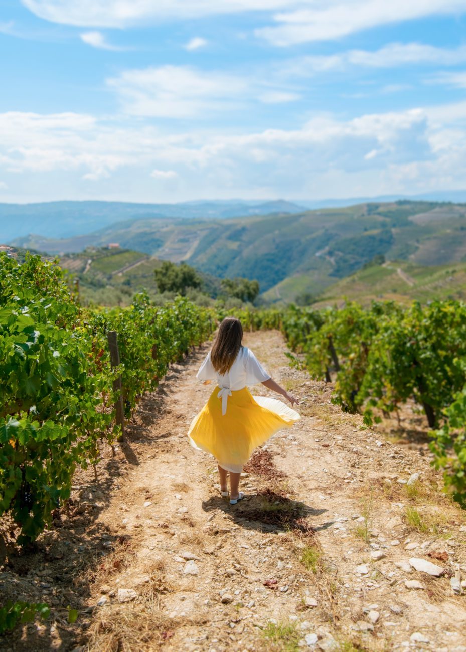 Douro Valley in Portugal