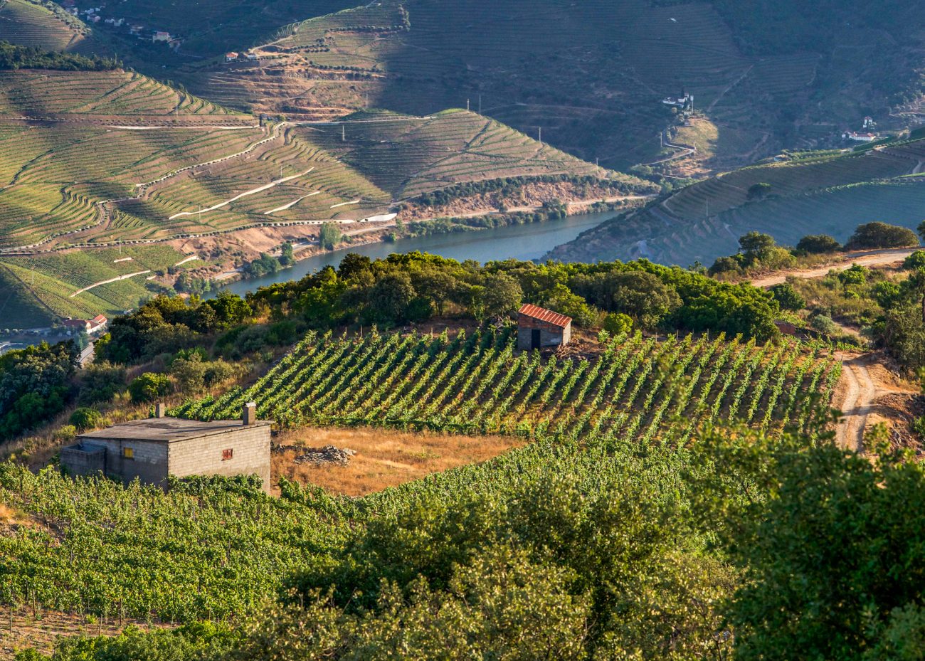 Douro Valley in Portugal