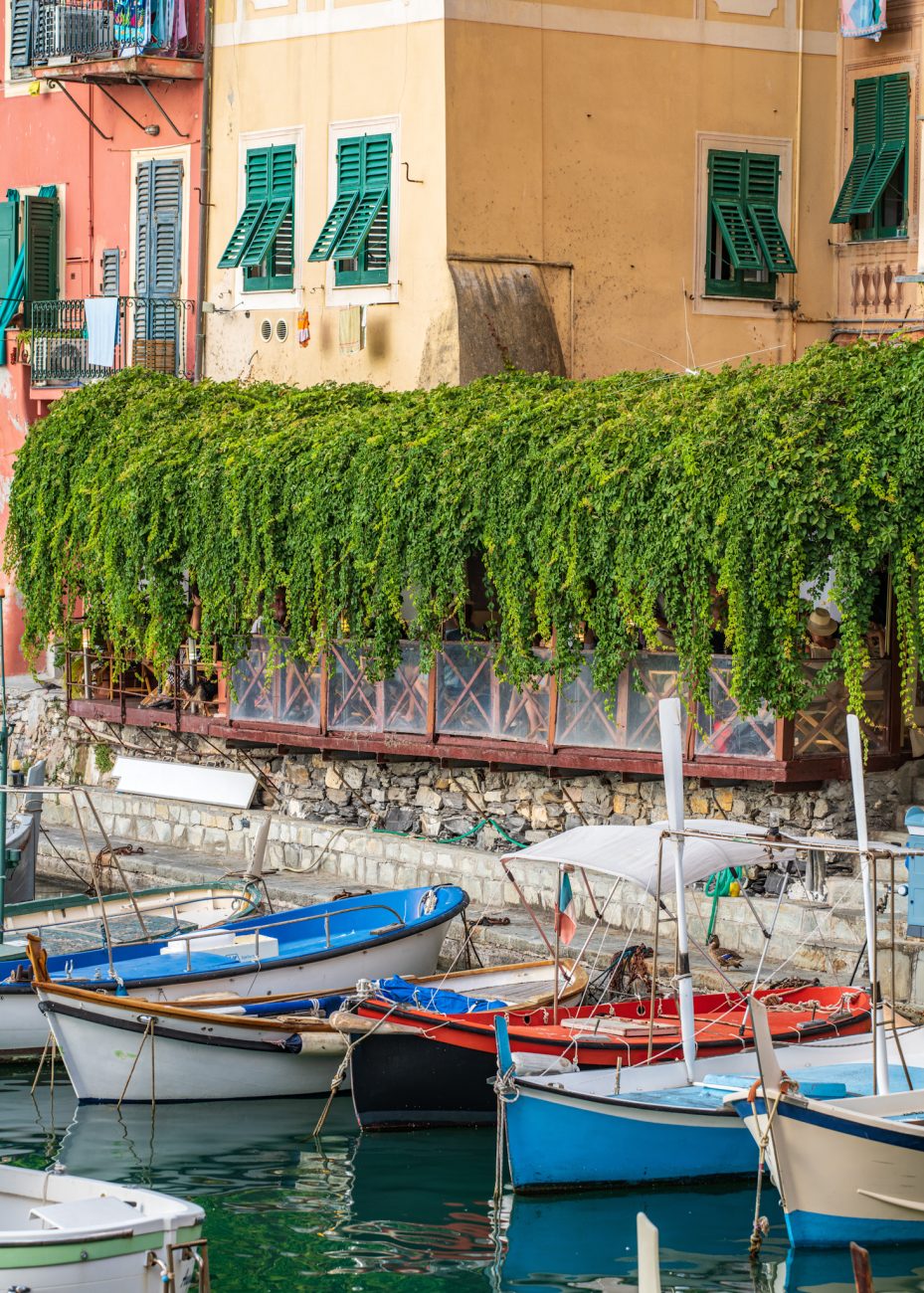 Camogli harbor Liguria