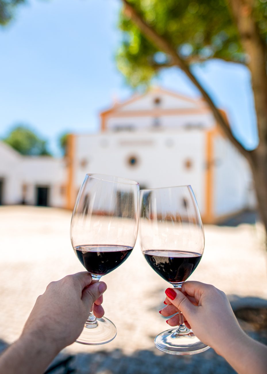 Cartuxa winery in Evora, Portugal