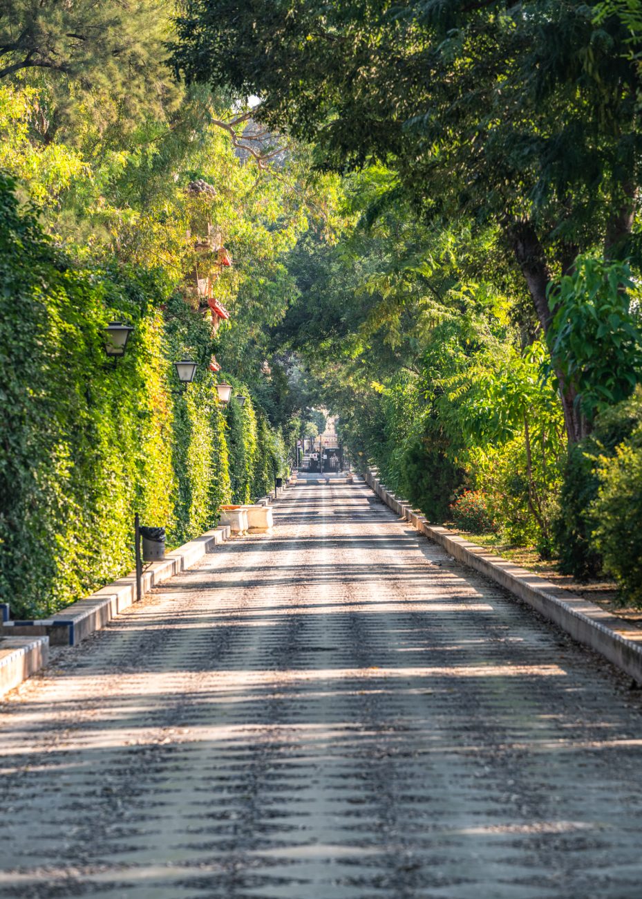 Murillo Gardens in Seville