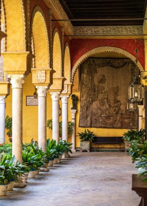 Palacio de las Duenas in Seville