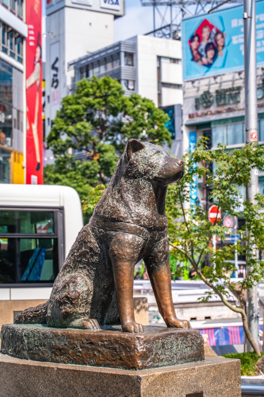 The Hachiko statue outside Shibuya Station in Tokyo, commemorating the loyal Akita dog famous for waiting for his owner