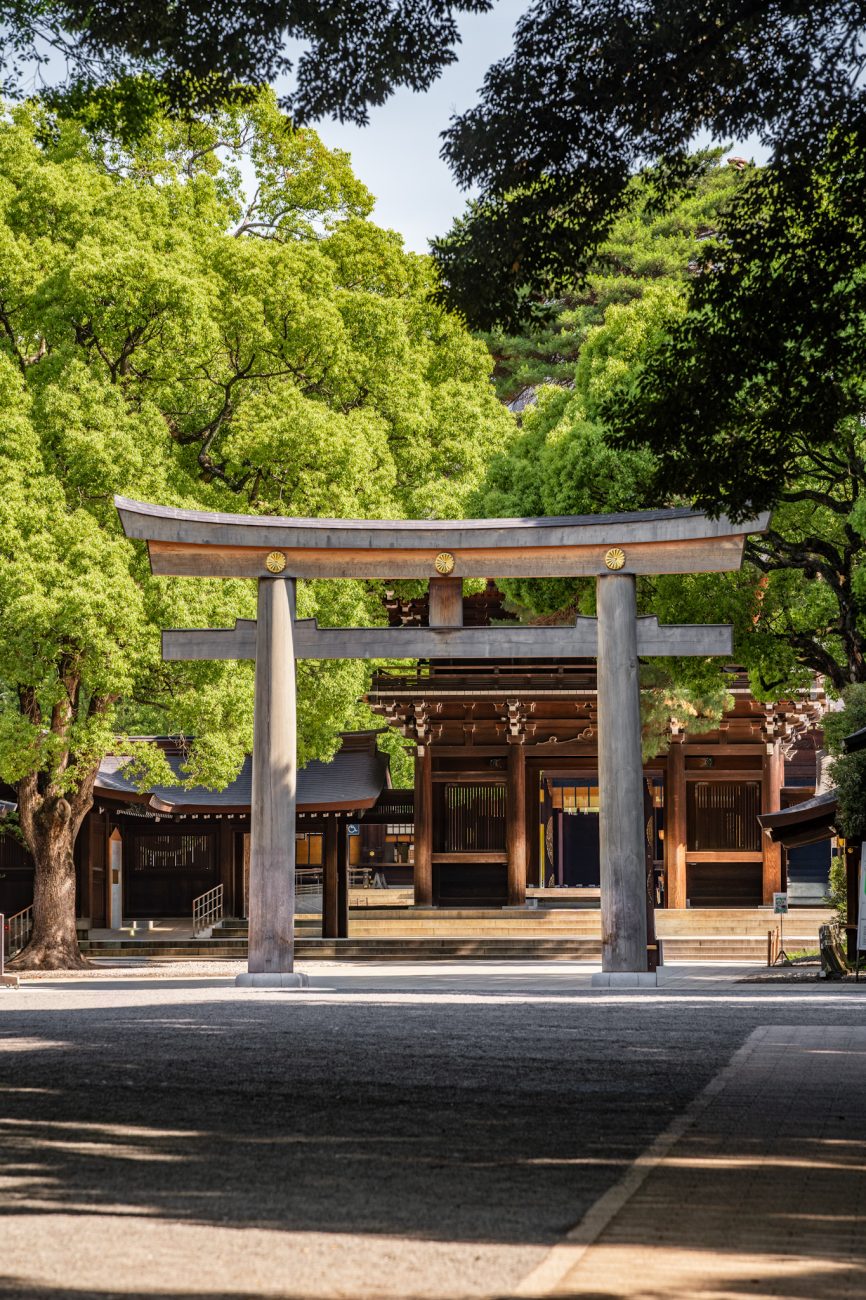 The forest path leading to Meiji Shrine in Tokyo, a tranquil walking route surrounded by tall trees and greenery