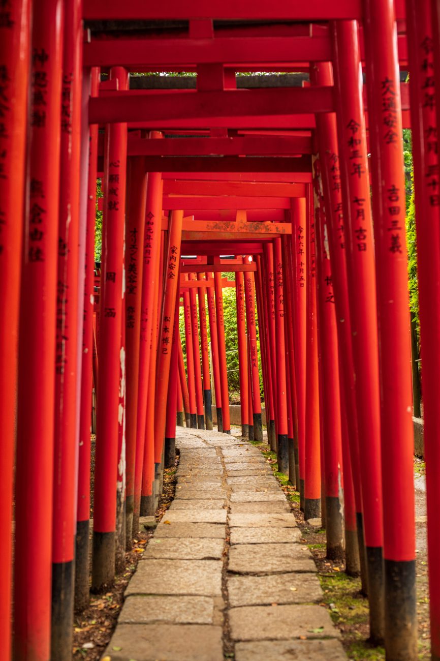 Nezu Shrine in Tokyo, a historic Shinto shrine known for its traditional Edo-period architecture and peaceful grounds