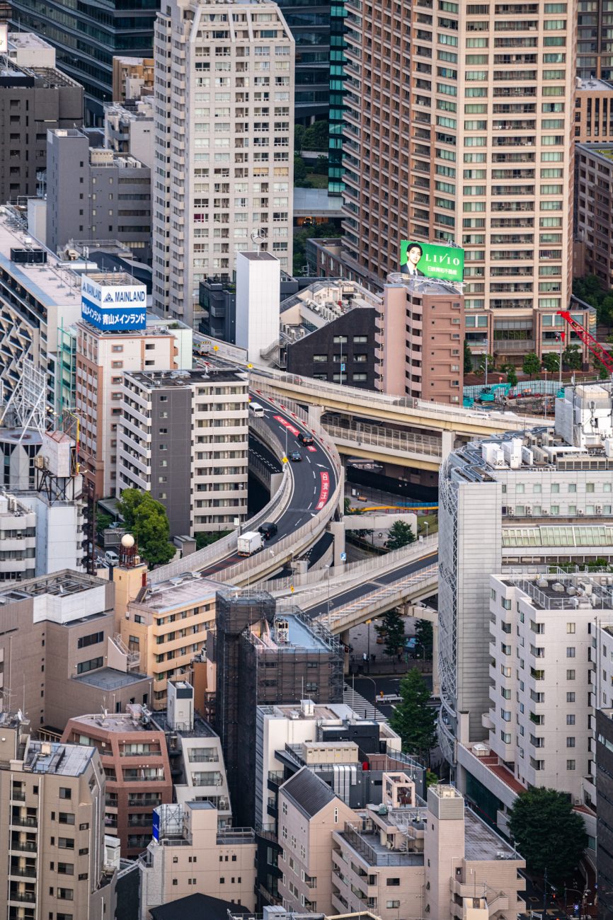 View from Roppongi Hills, a popular observation spot for photography and panoramic views of the Tokyo skyline.